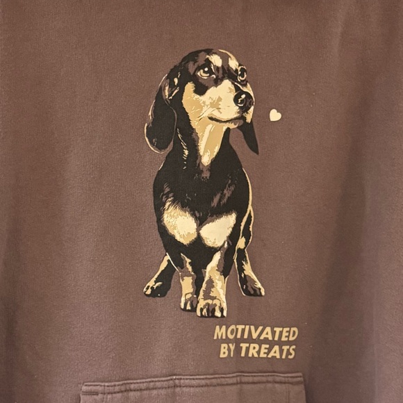 Motivated by Treats Dachshund Dog Sweatshirt Hoodie- Brown, size M, Oversized - Picture 3 of 5